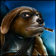leu11